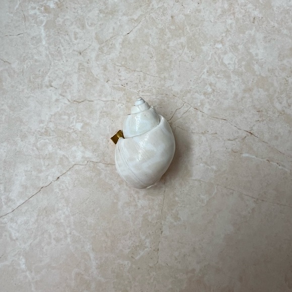 Seashell brooches (2) - Picture 5 of 8